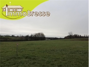 terrain à la vente -   01560  SAINT-TRIVIER-DE-COURTES, surface 1556 m2 vente terrain - APR446950