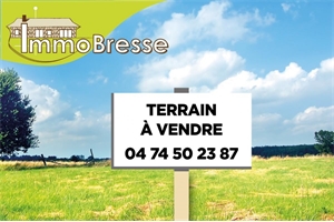 terrain à la vente -   01560  SAINT TRIVIER DE COURTES, surface 10125 m2 vente terrain - UBI407261795