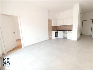 appartement neuf à la location -   67400  ILLKIRCH GRAFFENSTADEN, surface 38 m2 location appartement neuf - UBI481550723