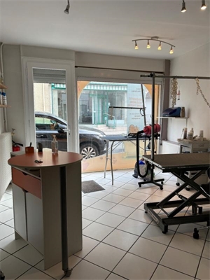 maison-villa à la vente -   36200  ARGENTON-SUR-CREUSE, surface 57 m2 vente maison-villa - APR734629