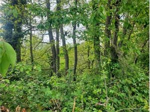 terrain à la vente -   31370  LABASTIDE CLERMONT, surface 1330 m2 vente terrain - UBI422489467