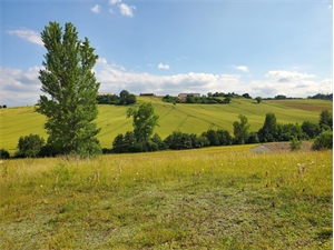 terrain a batir à la vente -   31230  LABASTIDE PAUMES, surface 1434 m2 vente terrain a batir - UBI426655718