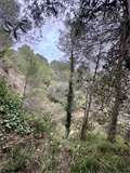 Photo numero 46395803 du bien UBI459187085