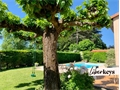 Image du bien UBI461995271