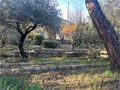 Image du bien UBI470663456