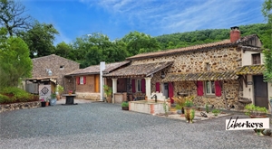 propriete à la vente -   81170  SAINT MARTIN LAGUEPIE, surface 300 m2 vente propriete - UBI480873530