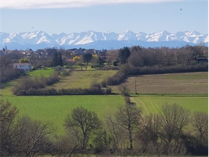 terrain à la vente -   31370  RIEUMES, surface 0 m2 vente terrain - UBI481308323