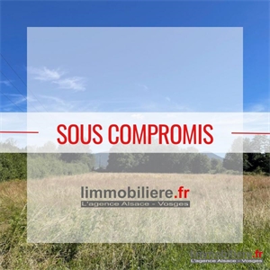 zi-zac à la vente -   88580  SAULCY SUR MEURTHE, surface 4259 m2 vente zi-zac - UBI431189057