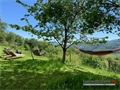 Image du bien UBI479006006