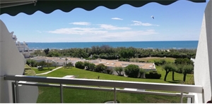 studio à la location -   34280  LA GRANDE MOTTE, surface 24 m2 location studio - UBI476666756