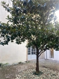 Photo numero 47878927 du bien UBI477009314