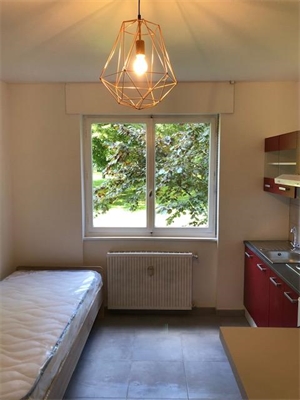studio à la location -   68100  MULHOUSE, surface 17 m2 location studio - UBI478025135