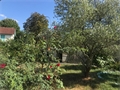 Photo numero 47964566 du bien UBI478052954