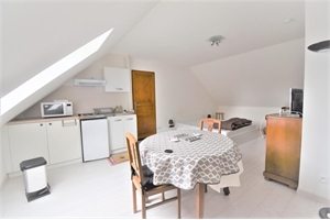 chambre à la location -   45380  LA CHAPELLE SAINT MESMIN, surface 24 m2 location chambre - UBI478419260