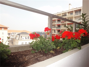 t2 à la location -   64100  BAYONNE, surface 40 m2 location t2 - UBI478806359