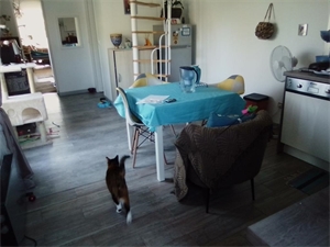 maison à la location -   78910  ORGERUS, surface 65 m2 location maison - UBI479211560