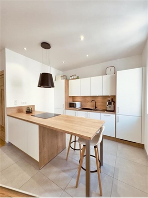 t3 à la location -   03200  VICHY, surface 55 m2 location t3 - UBI479215028