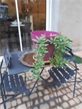 Image du bien UBI479216753