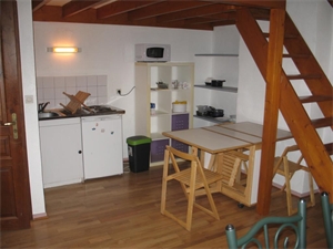 t3 à la location -   38000  GRENOBLE, surface 55 m2 location t3 - UBI479218661