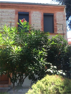 studio à la location -   31000  TOULOUSE, surface 20 m2 location studio - UBI479224739