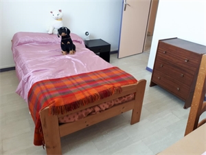 chambre à la location -   38000  GRENOBLE, surface 9 m2 location chambre - UBI479225042