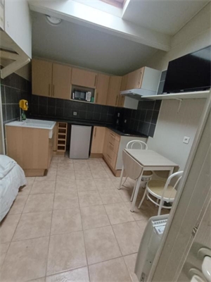 studio à la location -   94480  ABLON SUR SEINE, surface 19 m2 location studio - UBI479225081