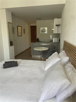 studio à la location -   06400  CANNES, surface 27 m2 location studio - UBI479227478