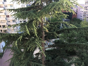 t5 à la location -   75015  PARIS 15, surface 106 m2 location t5 - UBI479227661