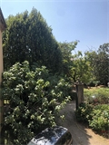 Photo numero 48354207 du bien UBI483672086