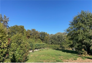 studio à la location -   34680  SAINT GEORGES D ORQUES, surface 43 m2 location studio - UBI483717047