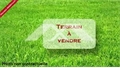 Terrain à la vente