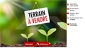 Terrain à la vente
