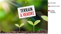 Terrain à la vente
