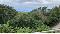 Photo numero 47454915 du bien UBI474053420