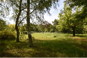 terrain à la vente -   33360  CAMBLANES ET MEYNAC, surface 4236 m2 vente terrain - UBI425087308