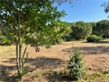 Photo numero 42882018 du bien UBI427844513
