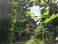 Photo numero 43460008 du bien UBI433672058