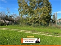 Photo numero 44718578 du bien UBI444574913