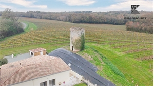 maison à la vente -   33540  SAUVETERRE DE GUYENNE, surface 151 m2 vente maison - UBI446137091