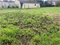 Photo numero 45359547 du bien UBI449410238