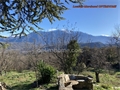 Photo numero 45730091 du bien UBI454253702