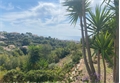Photo numero 46231256 du bien UBI459515990