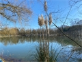 Photo numero 46422643 du bien UBI461558510
