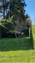 Photo numero 46527229 du bien UBI462055742