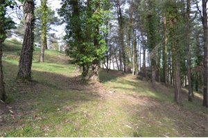 terrain de loisirs à la vente -   19100  BRIVE LA GAILLARDE, surface 3000 m2 vente terrain de loisirs - UBI462475802