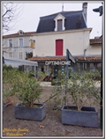 Maison de ville à la vente