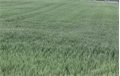 Image du bien UBI464401040
