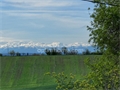 Photo numero 46805565 du bien UBI465512969