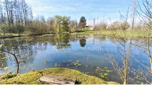 etang à la vente -   02270  CHEVRESIS MONCEAU, surface 10740 m2 vente etang - UBI467235341