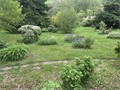 Photo numero 47297850 du bien UBI472410428